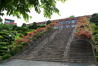 고려중학교 장미 계단